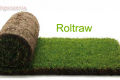 Roltraw - trawa rolowana. Najlepsza trawa na rynku !!!