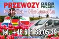 Busy Polska - Holandia Bez Przesiadek Tanio Szybko Z Adresu Na Adres +48 601380539