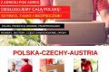  Przesyki paczki Wiede Linz Wels Austria Czechy Polska Lubartw