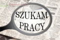 Szukam pracy