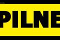PILNIE sprzedam dziak budowlan Chem - Wygon