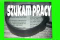    Szukamy Pracy Przy Zbiorach Truskawek